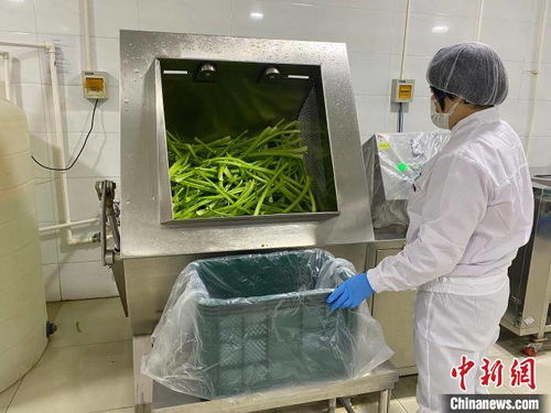 河北淶水土貨“統(tǒng)購統(tǒng)銷”進(jìn)京生金，清潔服務(wù)煥新鄉(xiāng)村經(jīng)濟(jì)